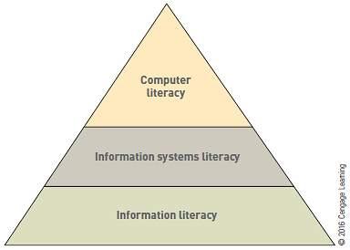 Information literacy Computer and Information Systems Literacy (cont d.
