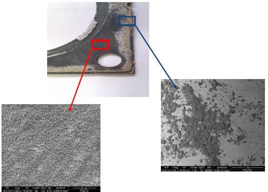 Figure 5-16: SEM magnification of Crofer22APU and the glass-ceramic sealant at the 3-phase boundary SEM magnifications of the red and the blue area respectively are reported in Figure 5-17 Figure