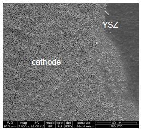 SOFC Stack Characterization Figure 5-19: Top view of the LSM cathode/ysz interface Post-mortem examinations were conducted on different areas of the Crofer22APU frame/glass-ceramic sealant/asc cell.