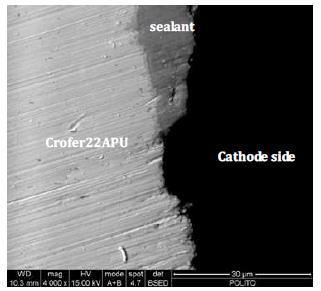 The microstructure at the edges of the samples around the glass-ceramic sealant/crofer 22APU interface was also investigated in order to examine the presence of