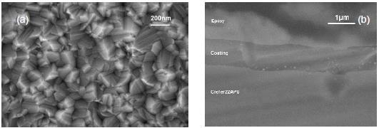 SOFC Stack Characterization Figure 5-10: FESEM plane and cross section view of Mn 1.5 Co 1.