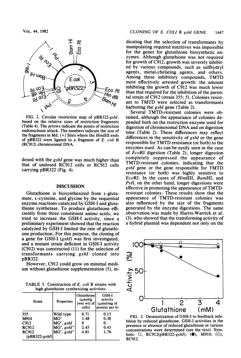 VOL. 44, 1982 X\\\\ 0 3 3 /~~~~~~// FIG. 2. Circular restriction map of pbr322-gshi, based on the relative sizes of restriction fragments (Table 4).