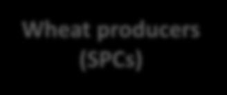 Cooperative (SPCs) SPCs in L1 (E-1) M Wheat producers (SPCs) F SPCs in L2