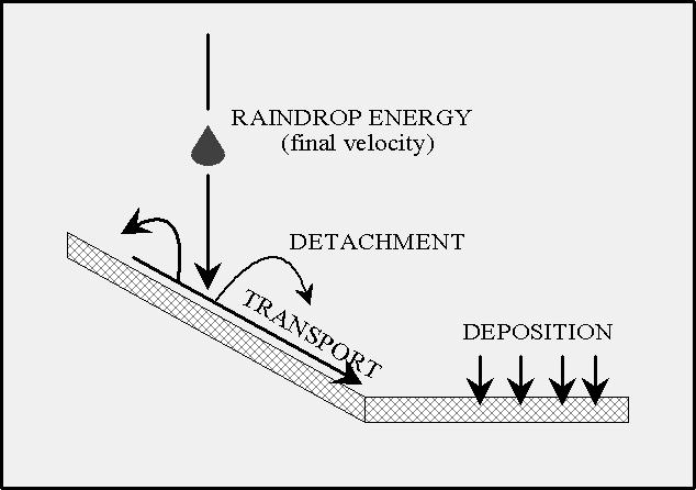 CHAPTER 2 EROSION CONTROL 2.1 EROSION AND EROSION CONTROL Understanding Erosion Erosion occurs when soil particles are detached from the land surface and carried downslope by moving water. Figure 2.