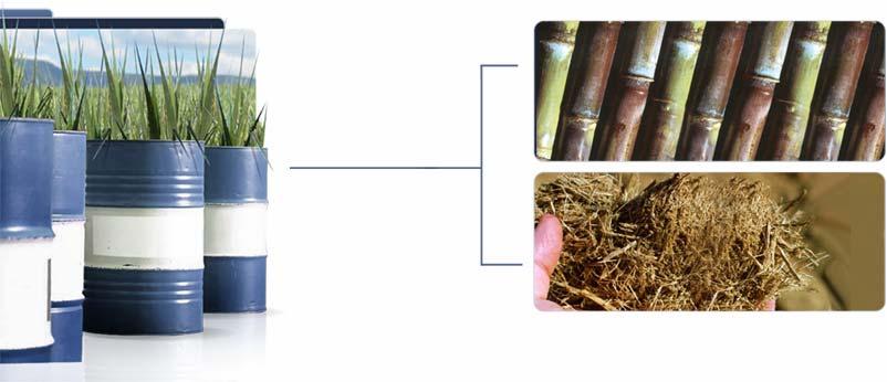 Increasing Efficiency in Raw Material Use Raw Material Wheat Corn Sugar Beet Sugar Cane (under