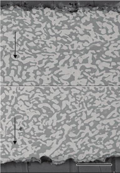 48 H.W. He et al.: J. Mater. Sci. Technol., 2012, 28(1), 46 52. Fig. 3 Microstructural morphologies of the as-soldered Cu/Sn 58Bi/Cu solder joint: (a) at the anode, (b) at the cathode interface.