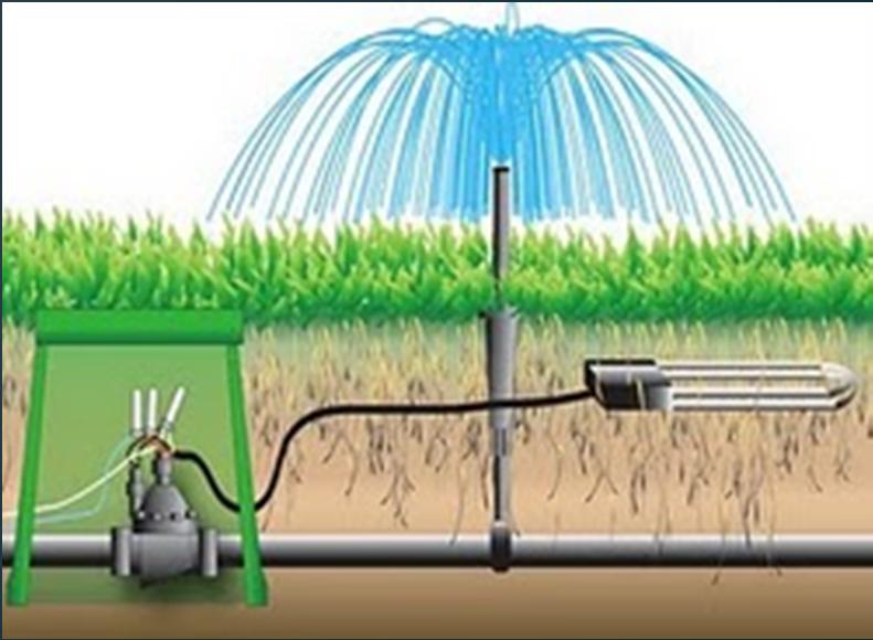 Use some type of soil water sensor or soil moisture