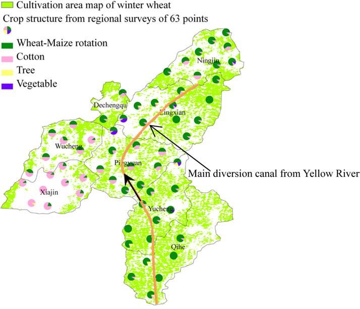 Remote Sensing of Regional Crop Transpiration of Winter Wheat 5 Figure 3. Cultivation area map of winter wheat in 2008/2009 season over the PID.