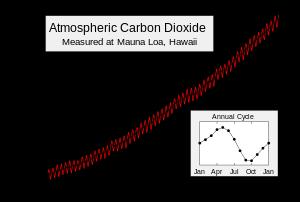 Direct measurement (Mauna Loa) The carbon cycle