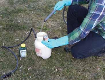 Before purchasing a pesticide, be sure you know the answers to the following questions: What is the problem? Correct identification and diagnosis are essential to successful control.