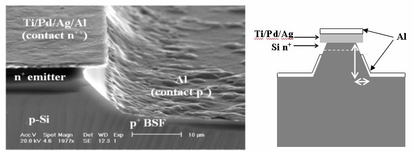 Interdigitated back-contact solar cells 1047 tions, temperature) in order to obtain the best ratio the etch width (under Ti/Pd/Ag contacts) to its depth (Fig. 3)