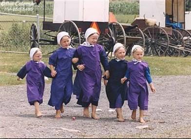 Natural selection on culture Today fertility in most human populations is falling and is below replacement in many areas Analogous to a disease Amish (and a few other groups) are sealed off from