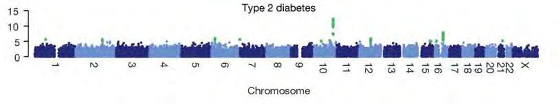 GWAS of T2D Wellcome