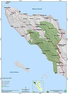 Gunung Leuser National Park Gunung Leuser National Park is a national park covering 7,927 km 2 in northern Sumatra, straddling the border of North Sumatra