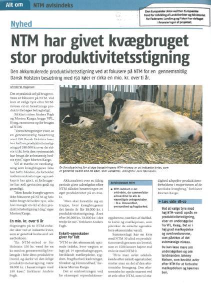 Danish Holstein 