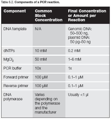 Components of a PCR Reaction Template DNA Nucleotides (dntps) PCR buffer