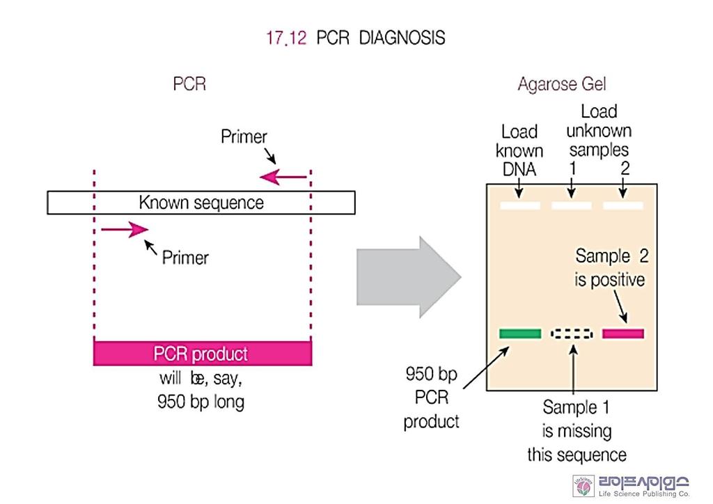 Use of PCR in