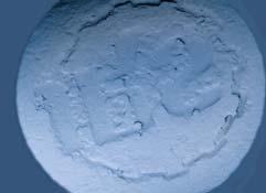 Microcrystalline Cellulose, Colloidal Silicon Dioxide, Sodium Starch Glycolate, Sodium Stearyl Fumarate Case Study Medium- and High-Dose Formulations Results In these formulations, the properties of