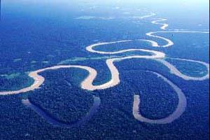 The Amazon forest is a tropical rainforest with one of the world s