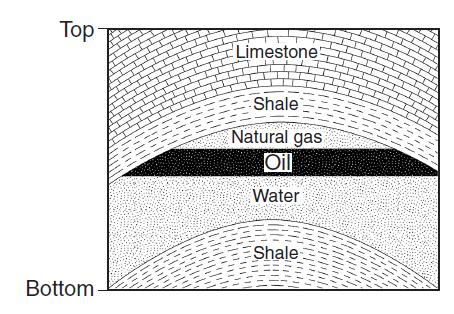 38. Base your answer to the following question on the bedrock cross section below, which represents part of Earth's crust where natural gas, oil, and water have moved upward through a layer of folded