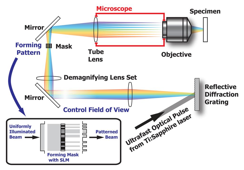 pulse is restored where the image conjugate plane for specimen is located. By inserting optical mask, the image gets projected at the focal plane of the objective and the optical pulse is restored.