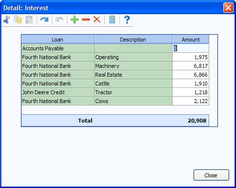 Use Detail to list interest paid on individual loans. This will automatically transfer to the interest breakdown on the enterprise analysis.