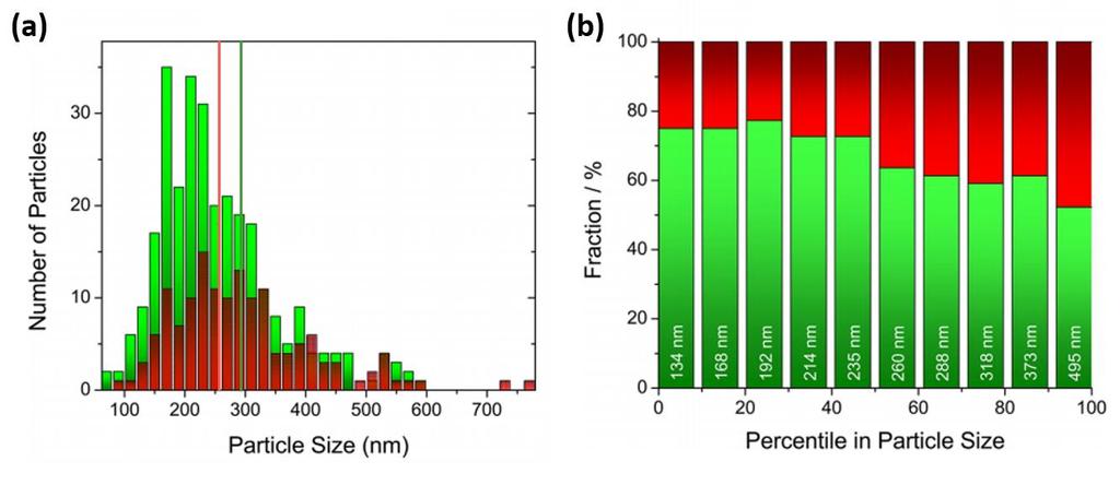From Figure 4, their experimental results suggest that most particles are ellipsoidal, therefore the particle size is later expressed as a length along the long axis of the ellipse.