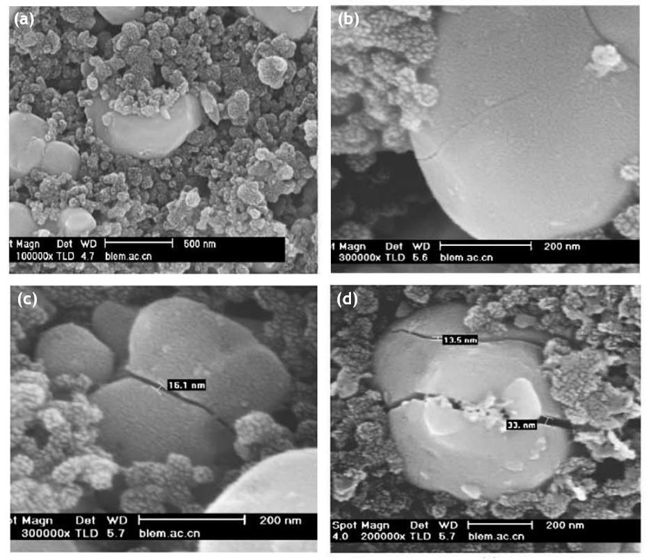 Figure 12: The SEM images of LiFePO 4 carbon coated electrode (a) before cycling, (b) after 10 cycles, (c) after 30 cycles, and (d) after 60 cycles [23]. Reganathan et al.