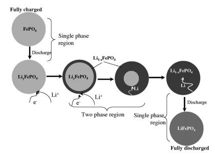 Figure 21: Illustration of the shrinking-core model with the juxtaposition of the two phases and the movement of the phase boundary [11]. The simulation results from Tang et al.