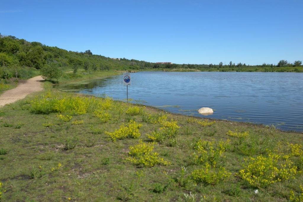 Wetland Monitoring City of Edmonton