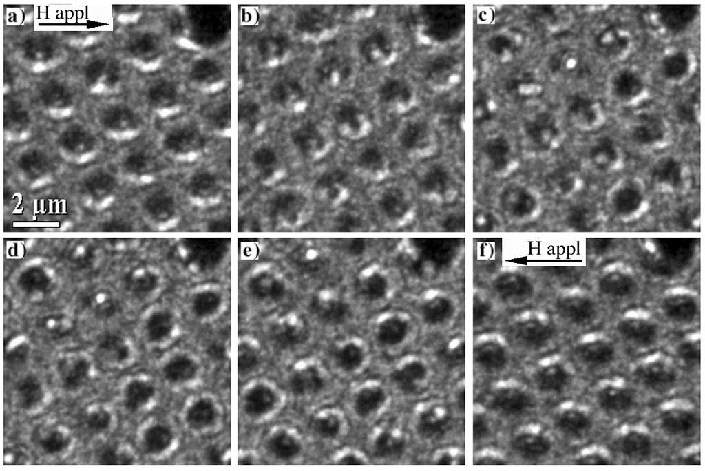 Figure 5 shows a series of Fresnel images of the patterned multilayers, recorded at different sample tilts. For each image, the sample tilt and the applied in-plane magnetic field are indicated.