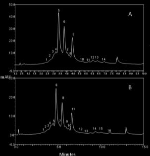 Volume: 15 µl Detection: UV at 280 nm Peak: A: 5 min Gradient Peaks 1-4: Acidic variants Peaks 5,6,9: C-Terminal lysine variants Peaks 10-14: Basic variants B: 10 min Gradient Peaks 1-5: Acidic