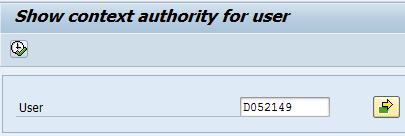 ACM Reporting Context authorizations for users Display