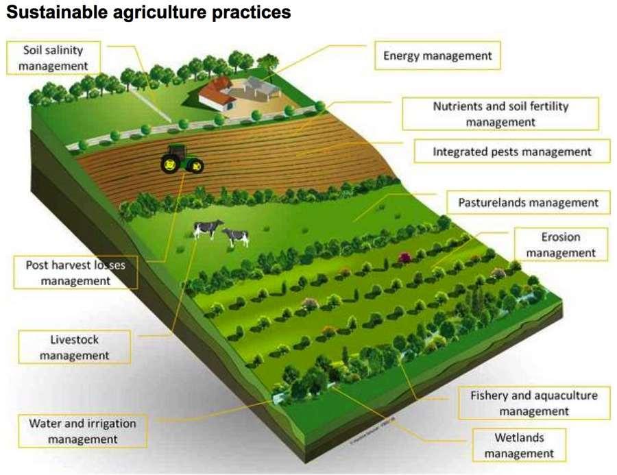 Sustainable agriculture Sustainable agricultural practices, including promoting soil carbon sequestration, could contribute to climate mitigation while reducing impacts on biodiversity.
