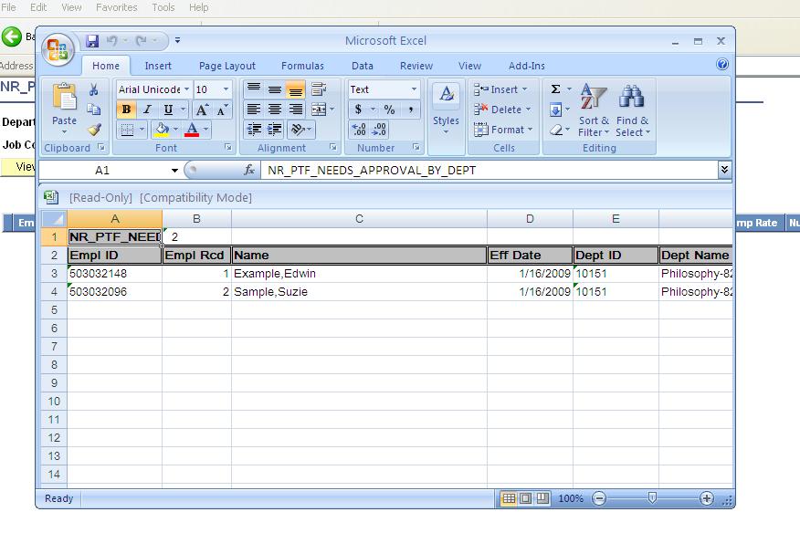 A new window will display, opening Excel and displaying results of chosen query.
