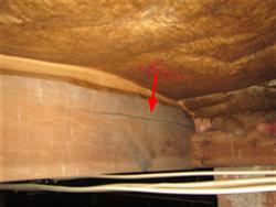 2 ) Main House Additional Photograph: This a photograph of old termite tunnel under the far right room of the home. (A3-1.