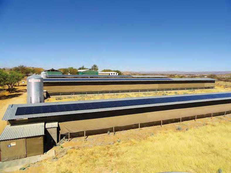 Windhoek Chicken Farm, 69.6 kw, Namibia - HopSol Module output (Initial Pmax=1.