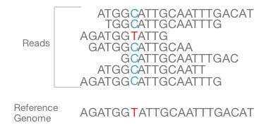 Step 4 of 4 Illumina 4. Data Analysis During data analysis and alignment, the newly identified sequence reads are then aligned to a reference genome.