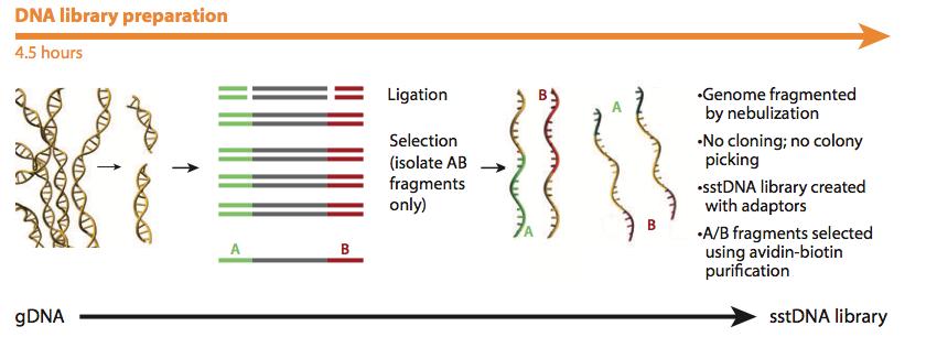 Roche-454 First commercial next gen sequencing