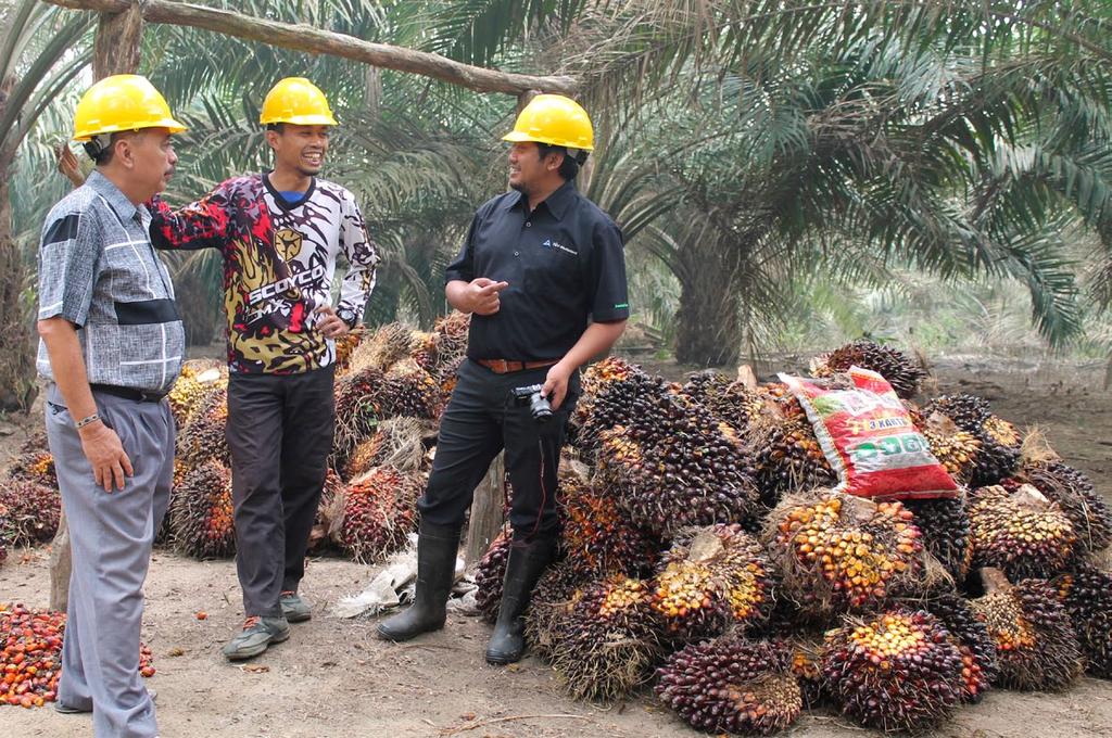 The Solidaridad palm Oil producer support programme Project Highlights Jambi province, Sumatra, Indonesia