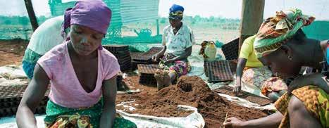 Improving market access for small-medium commercial farmers and agribusinesses, this $14 million USD scheme provides investment opportunities, capacity building, and financing assistance by