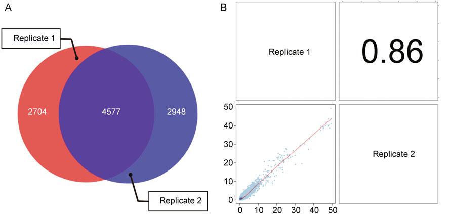 Hyunjin Shin et al. and peak regions. One measure of consistency is the percentage (e.g., > 50%) of overlapping peaks between two replicates, which can be easily visualized using a Venn diagram (Figure 3A).