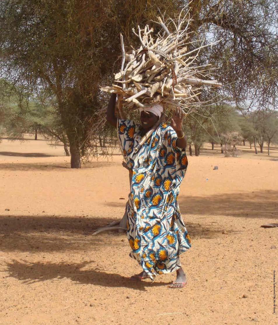 Senegal: Gender Equitable Household Energy Project Project I: gender elements but not equitable (wood and charcoal for men, forestry products and small livestock for women) Evaluation women left out