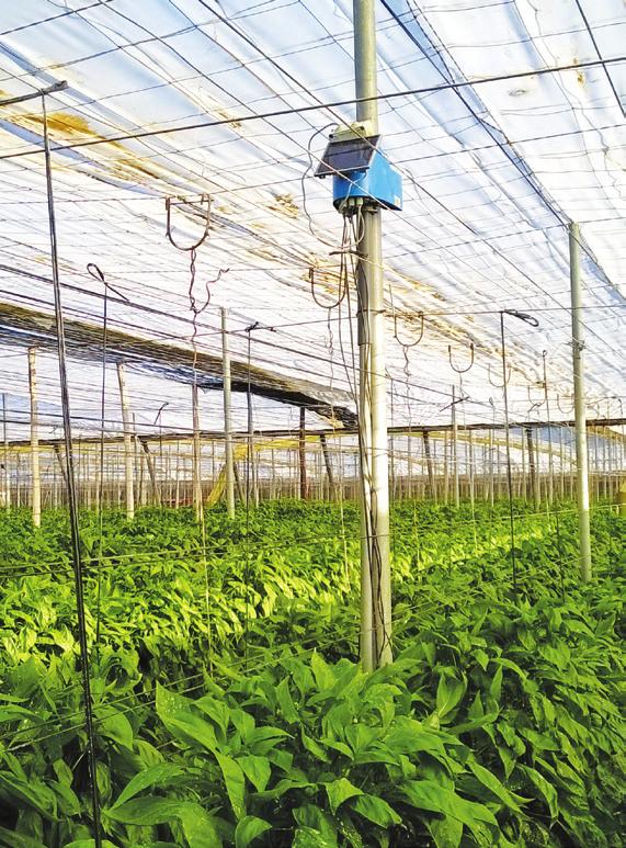 create automation solutions for control of devices of irrigation systems, as well as the greenhouse temperature control on the basis of the measured data.