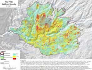 Rim Fire: Map of Soil Burn Severity with 7% high severity Surface ash containing nutrients that will become part of the