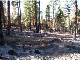 Even before the wildfire is completely out, fire effects on soil structure and erosion potential are made by a Burn