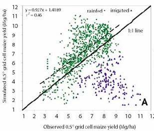 Crop yield AGRO-IBIS model Suggests that