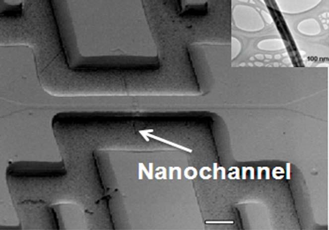 Nano -Diagnostics DNA sequencing can