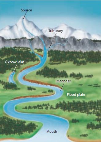 Freshwater Ecosystems: Rivers and Streams Bodies of surface water that flow downhill, eventually reaching an ocean or inland sea Watershed: The area of land drained by a river and its tributaries