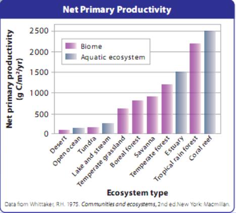 Ecologist compare biomes on how productive they are, that is, how much new organic matter they generate Net Primary Production: the organic matter, or biomass, that remains